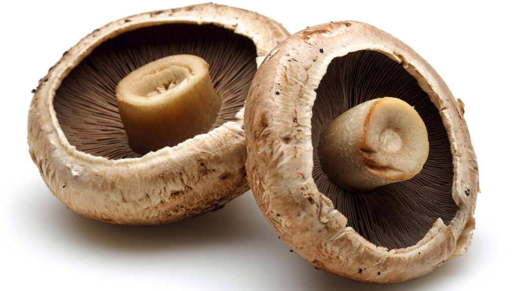 Possible Concerns When Consuming the Portabella Mushrooms