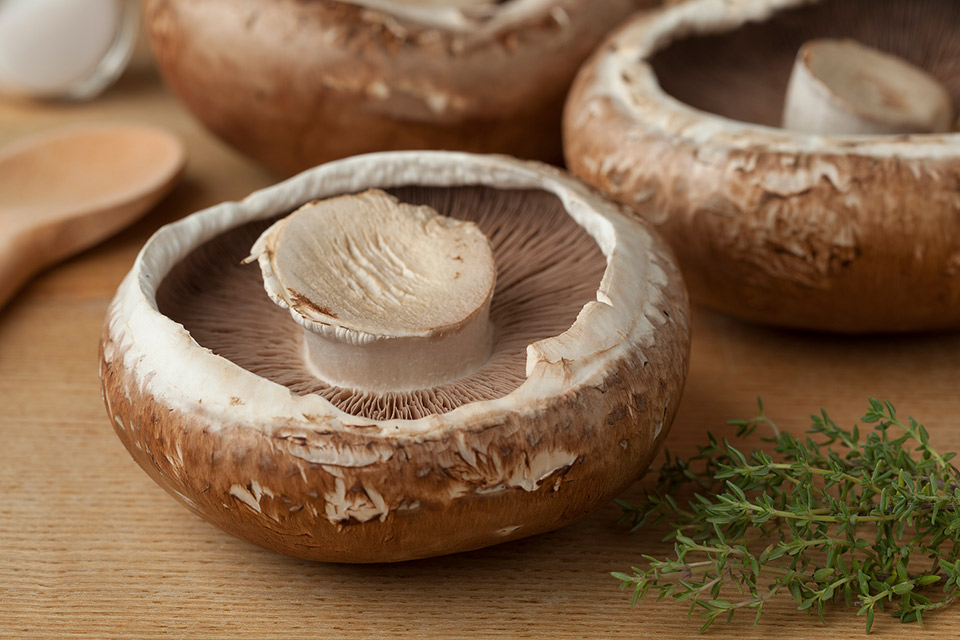 Are Portabella Mushrooms Bad for You