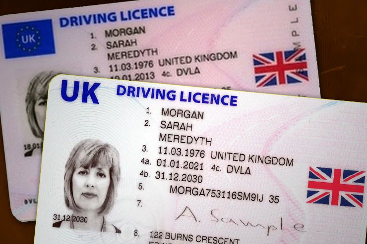 Can the public access UK license plate information